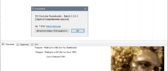 Aktivatsiya 3d Youtube Downloader Batch 2.15.6 Repack By Elchupacabra.webp