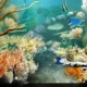 Aktivatsiya 3planesoft 3d Screensavers 11.2016.webp