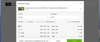 Aktivatsiya 4k Video Downloader 1.8.5.0116 Repack By Tryroom.webp