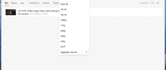 Aktivatsiya 4k Video Downloader 1.9.4.0140 Repack By Elchupacabra.webp