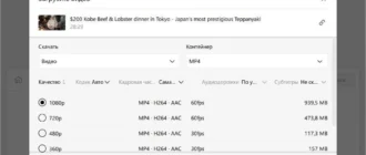 Aktivatsiya 4k Video Downloader 25.0.0.0182 By Elchupacabra.webp