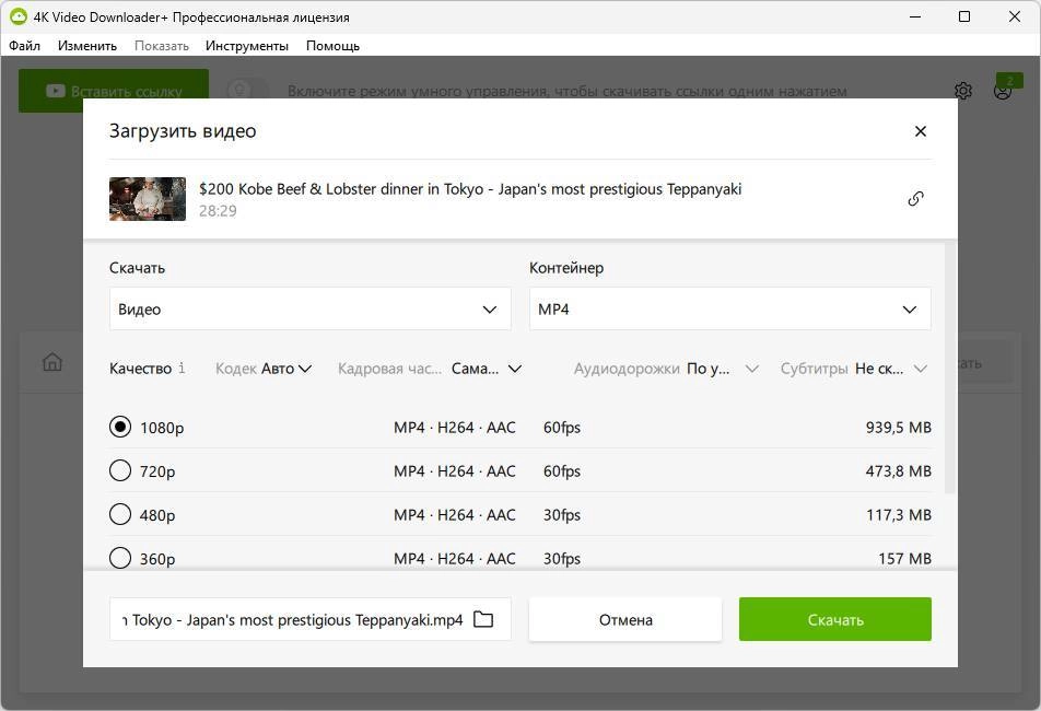 Aktivatsiya 4k Video Downloader 25.0.0.0182 By Elchupacabra.webp
