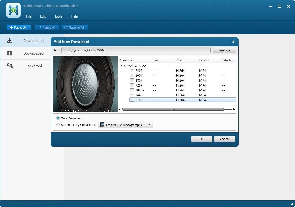 Aktivatsiya 4videosoft Video Downloader 6.0.22.43031 Repack By Alekseypopovv.webp