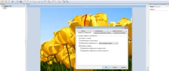 Aktivatsiya Abbyy Scan Station 9.0.4.2615.webp