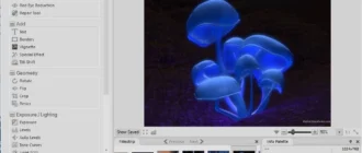 Aktivatsiya Acdsee 20.4 Build 630.webp