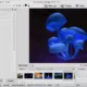 Aktivatsiya Acdsee 20.4 Build 630.webp