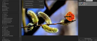 Aktivatsiya Acdsee Photo Studio Ultimate 12.1.1.1668 Lite Repack By Mkn.webp