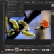 Aktivatsiya Acdsee Photo Studio Ultimate 12.1.1.1668 Lite Repack By Mkn.webp