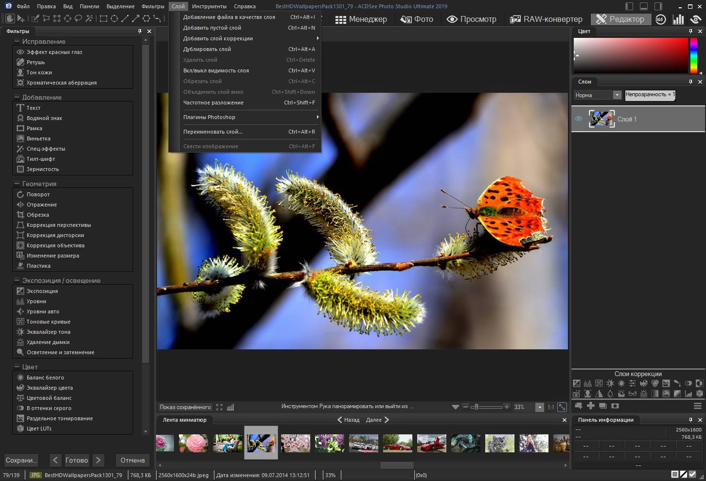 Aktivatsiya Acdsee Photo Studio Ultimate 12.1.1.1668 Lite Repack By Mkn.webp