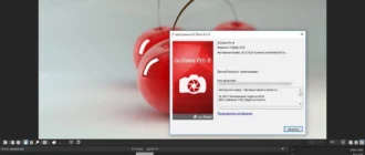 Aktivatsiya Acdsee Pro 8.2 Build 287 Lite Repack By Mkn.webp