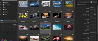 Aktivatsiya Acdsee Pro 9.1 Build 453 Lite Repack By Mkn.jpg