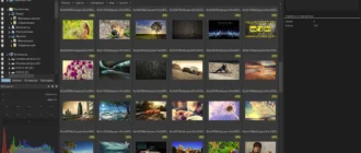 Aktivatsiya Acdsee Ultimate 9.0 Build 565 Repack By Dakov.webp