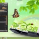 Aktivatsiya Aimp V3.60 Build 1447 Rc 1 Portable.webp
