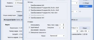 Aktivatsiya Avs Video Converter 9.5.1.600.webp