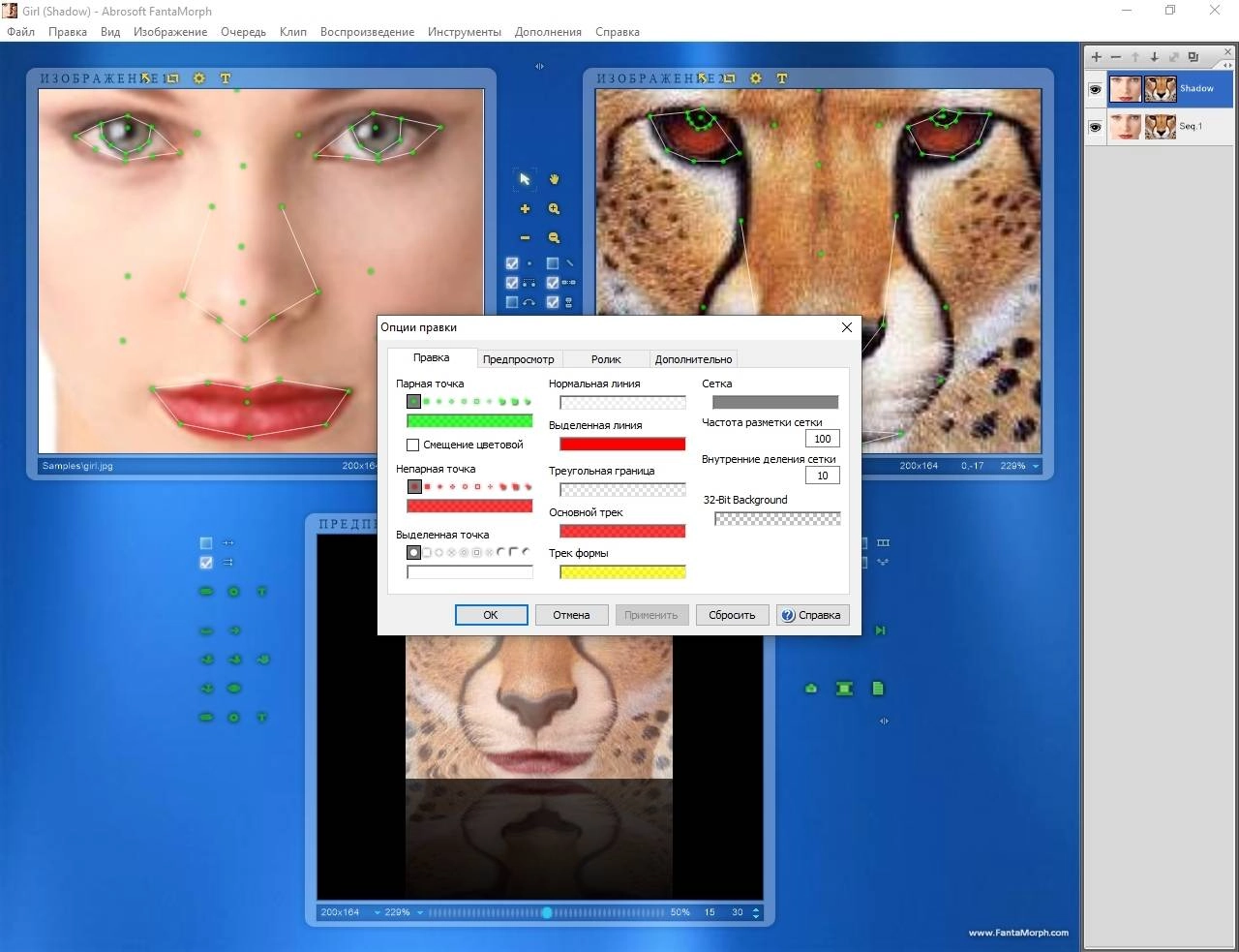 Aktivatsiya Abrosoft Fantamorph Deluxe 5.4.8 Repack By Tryroom.webp
