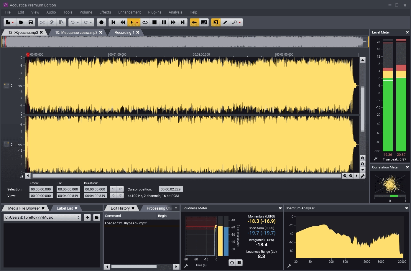 Aktivatsiya Acoustica Premium Edition 7.5.2 Portable By 7997.webp
