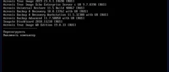 Aktivatsiya Acronis Bootdvd Grub4dos Edition 20.02.19 12 In 1.webp