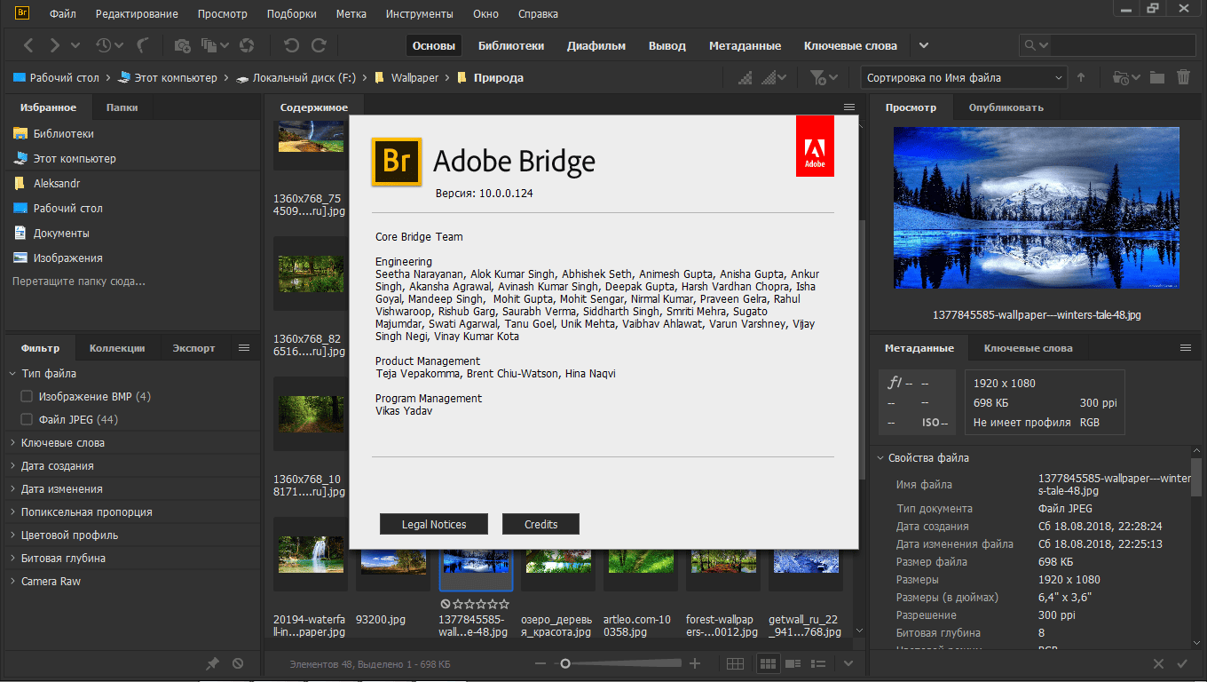 Aktivatsiya Adobe Bridge 10.1.1.166 Repack By Kpojiuk.png
