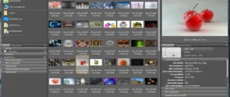Aktivatsiya Adobe Bridge Cc 6.3.0.177 Repack By Kpojiuk.webp