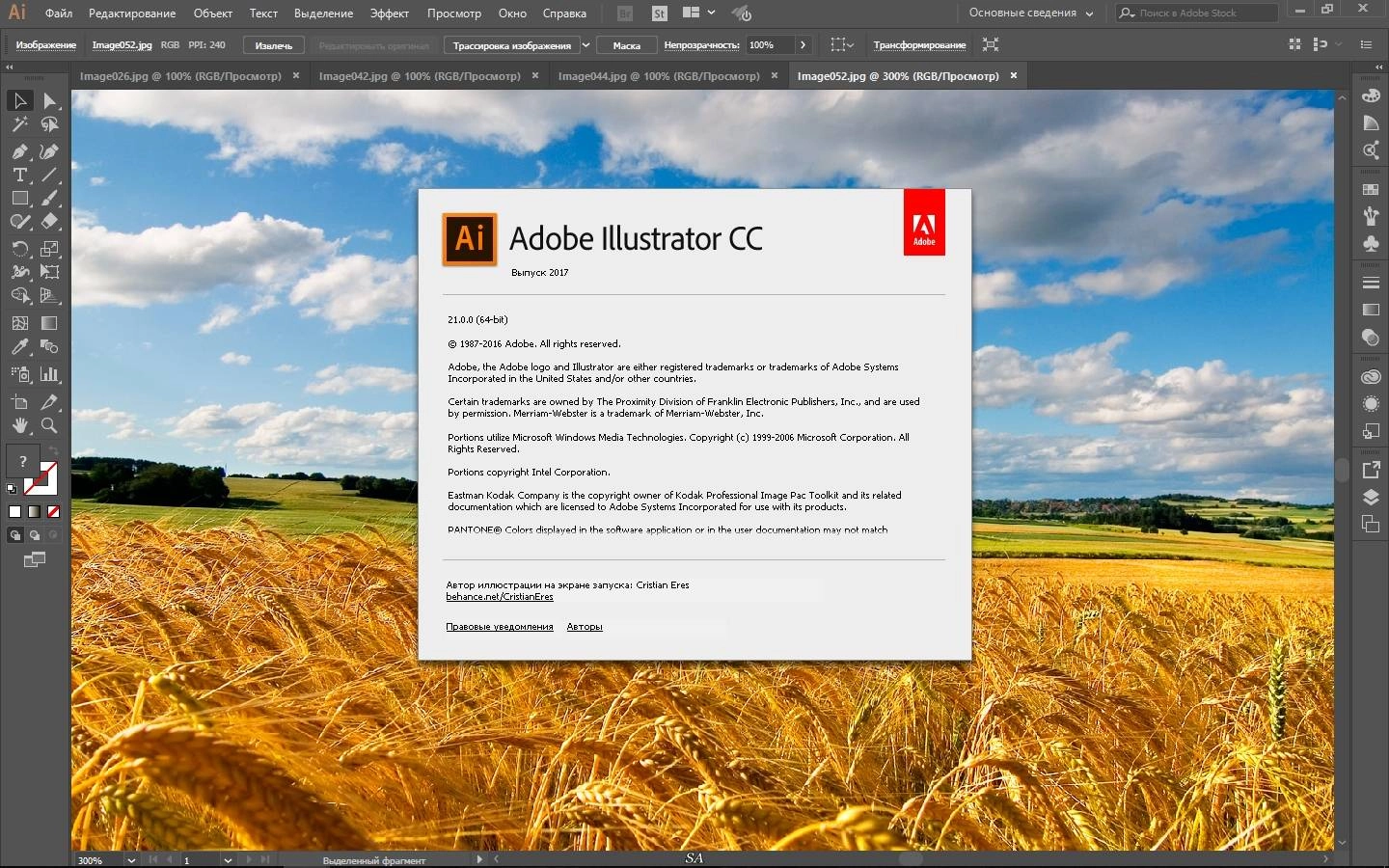 Aktivatsiya Adobe Illustrator Cc 21.0.0 Repack By Kpojiuk.webp