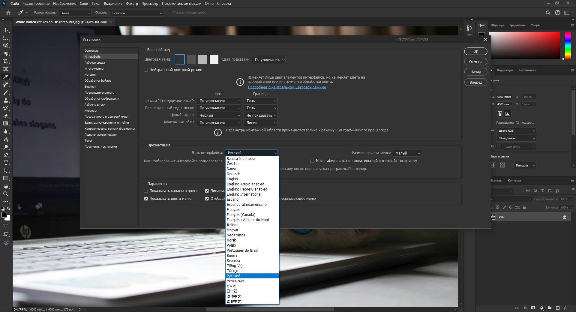 Aktivatsiya Adobe Photoshop 26.1.0.121 Repack By Sanlex.webp