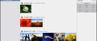 Aktivatsiya Adobe Premiere Elements 17.0 Rs By M0nkrus.webp
