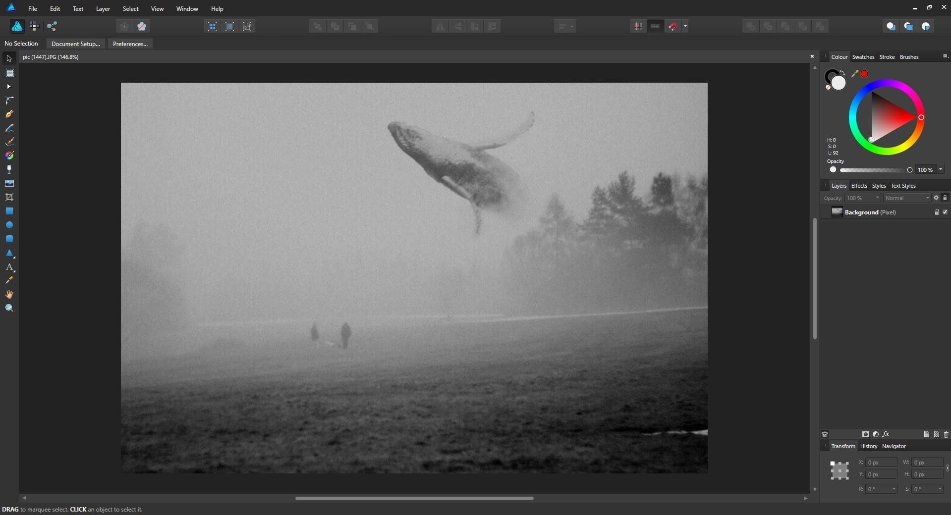Aktivatsiya Affinity Designer 1.5.3.69.webp