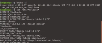 Aktivatsiya Aget 0.4.1.webp