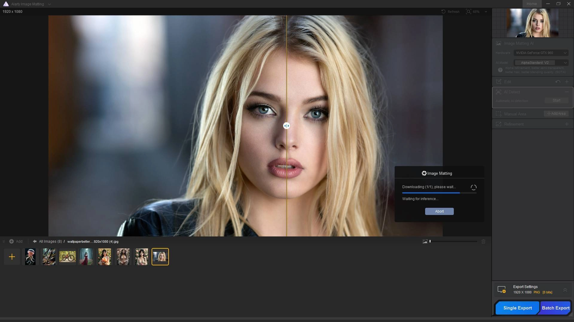 Aktivatsiya Aiarty Image Matting 2.0 Repack By Elchupacabra.webp