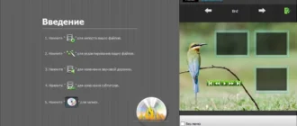 Aktivatsiya Aiseesoft Dvd Creator 5.2.12 Repack By Tryroom.webp