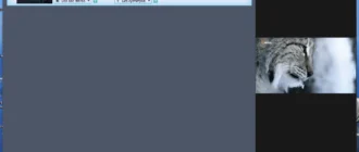 Aktivatsiya Aiseesoft Video Enhancer 9.2.50 Repack By Elchupacabra.webp