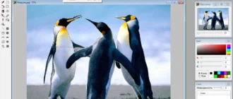 Aktivatsiya Altarsoft Photo Editor 1.51 Portable By Elcafe.webp