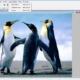 Aktivatsiya Altarsoft Photo Editor 1.51 Portable By Elcafe.webp