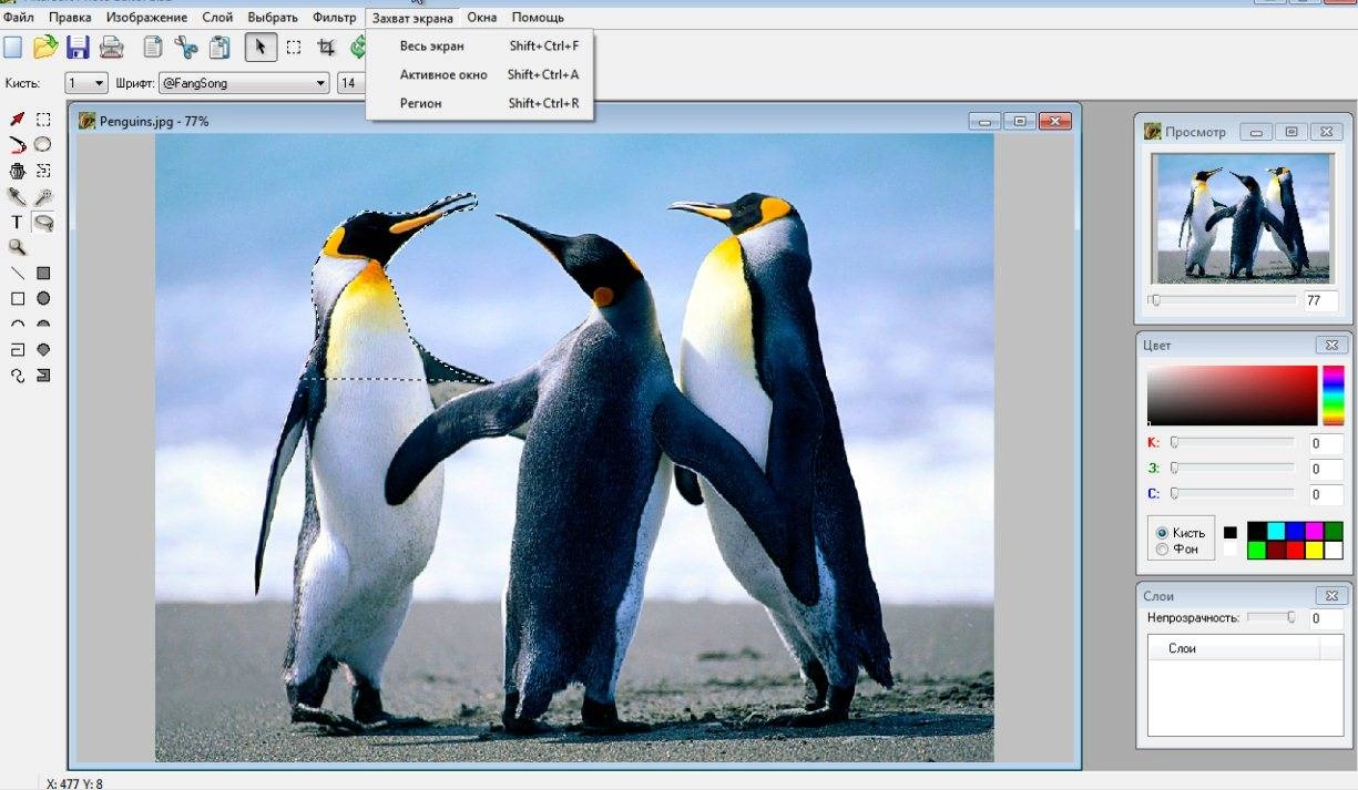 Aktivatsiya Altarsoft Photo Editor 1.51 Portable By Elcafe.webp