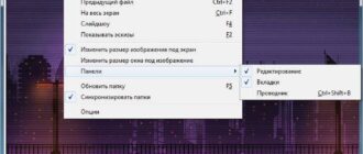 Aktivatsiya Alternate Pic View 2.730 Portable.jpg