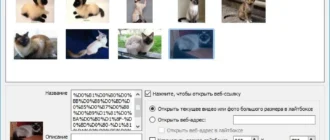 Aktivatsiya Amazing Carousel Enterprise 4.0 Repack By Vovava.webp