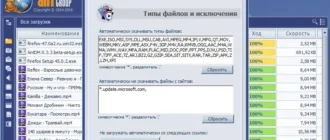 Aktivatsiya Ant Download Manager 0.3.3 Beta.webp