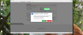 Aktivatsiya Anydesk 9.5.1 Portable.webp