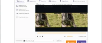 Aktivatsiya Apeaksoft Video Editor 1.0.50 Portable By 7997.webp