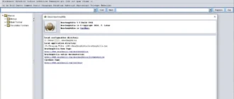 Aktivatsiya Arachnophilia 5.5 Build 2944.webp