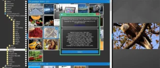 Aktivatsiya Ashampoo Photo Commander 14.0.0 Repack By Kpojiuk.webp