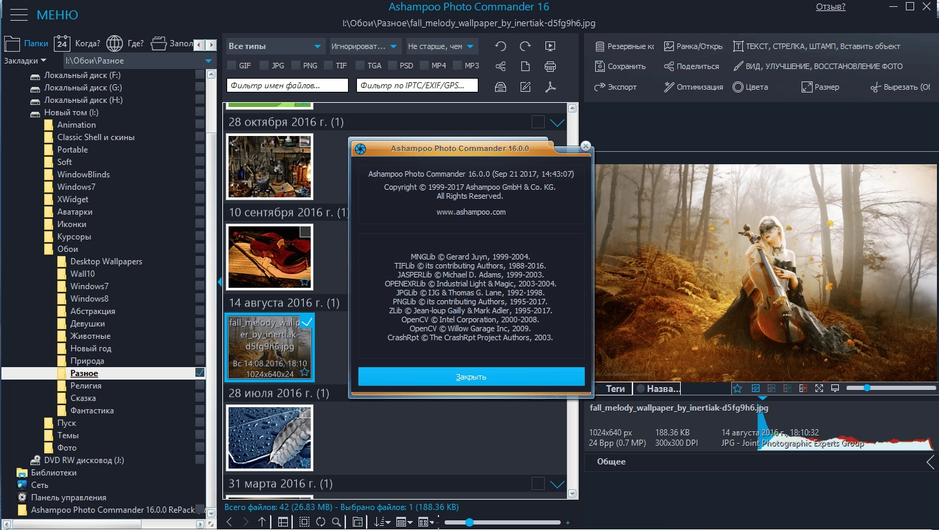 Aktivatsiya Ashampoo Photo Commander 16.0.3 Repack By Tryroom.webp