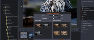 Aktivatsiya Ashampoo Photo Optimizer 6.0.12.117 Repack By Kpojiuk.webp