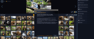 Aktivatsiya Ashampoo Photo Optimizer 8.0.1.19 Repack By Tryroom.png