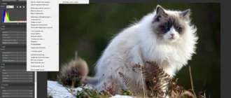 Aktivatsiya Astra Image Plus 5.5.8.0 Repack By Elchupacabra.webp