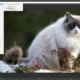 Aktivatsiya Astra Image Plus 5.5.8.0 Repack By Elchupacabra.webp