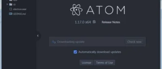 Aktivatsiya Atom 1.17.0.webp