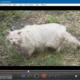 Aktivatsiya Aurora Blu Ray Media Player 2.19.4.3289 Repack By Vovava.webp