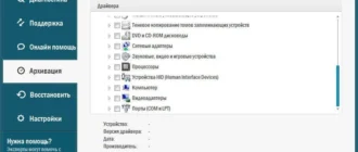Aktivatsiya Auslogics Driver Updater 1.7.1.0 Repack By Dakov.webp