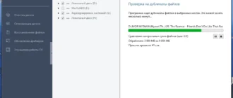 Aktivatsiya Auslogics Duplicate File Finder 10.0.0.6 Repack By Dodakaedr.webp